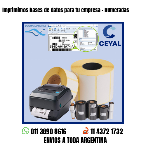 Imprimimos bases de datos para tu empresa – numeradas