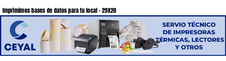 Imprimimos bases de datos para tu local - 29X20