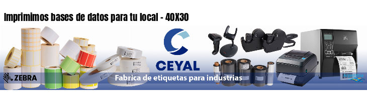 Imprimimos bases de datos para tu local - 40X30
