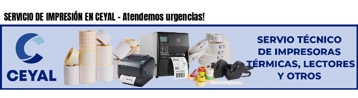 SERVICIO DE IMPRESIÓN EN CEYAL - Atendemos urgencias!