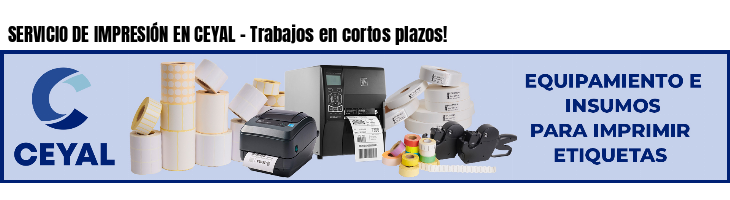 SERVICIO DE IMPRESIÓN EN CEYAL - Trabajos en cortos plazos!