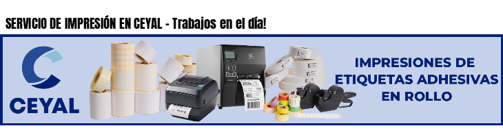 SERVICIO DE IMPRESIÓN EN CEYAL - Trabajos en el día!