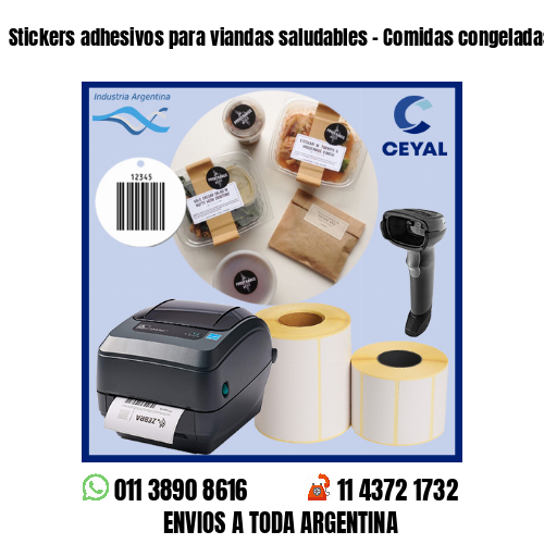 Stickers adhesivos para viandas saludables – Comidas congeladas