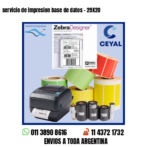 servicio de impresion base de datos – 29X20