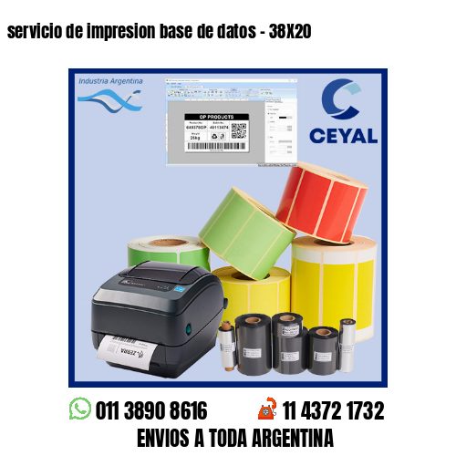 servicio de impresion base de datos – 38X20