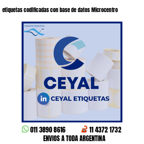 etiquetas codificadas con base de datos Microcentro