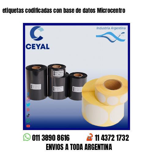 etiquetas codificadas con base de datos Microcentro
