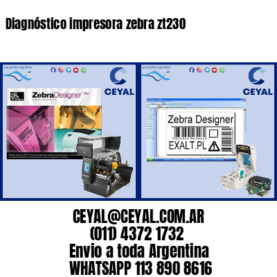 Diagnóstico impresora zebra zt230