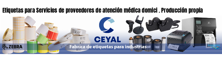 Etiquetas para Servicios de proveedores de atención médica domici . Producción propia