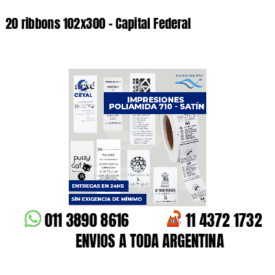 20 ribbons 102x300 - Capital Federal