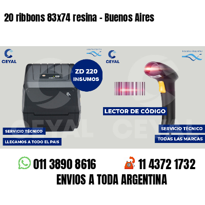 20 ribbons 83x74 resina - Buenos Aires