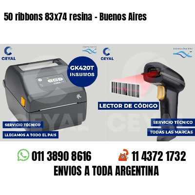 50 ribbons 83x74 resina - Buenos Aires