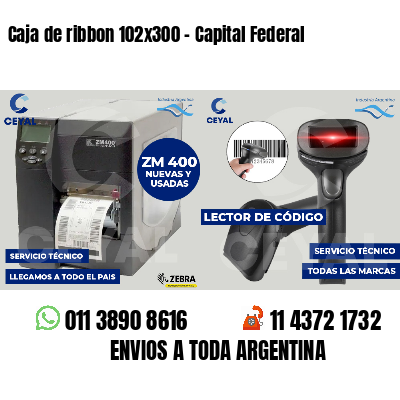 Caja de ribbon 102x300 - Capital Federal