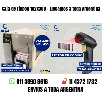 Caja de ribbon 102x300 - Llegamos a toda Argentina