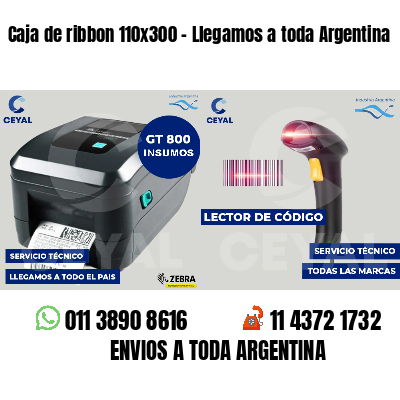 Caja de ribbon 110x300 - Llegamos a toda Argentina
