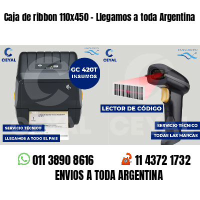 Caja de ribbon 110x450 - Llegamos a toda Argentina