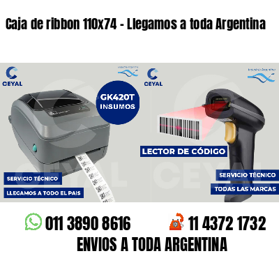 Caja de ribbon 110x74 - Llegamos a toda Argentina
