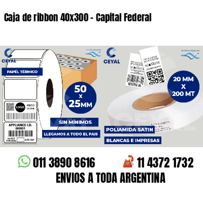 Caja de ribbon 40x300 - Capital Federal