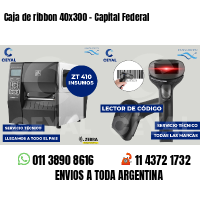 Caja de ribbon 40x300 - Capital Federal