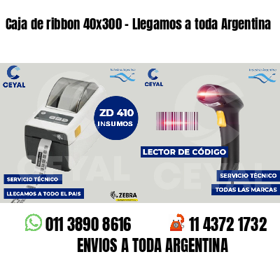 Caja de ribbon 40x300 - Llegamos a toda Argentina