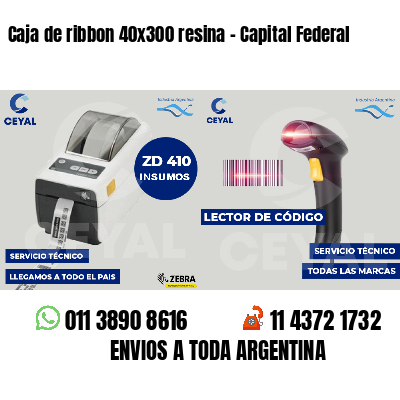 Caja de ribbon 40x300 resina - Capital Federal
