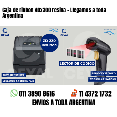 Caja de ribbon 40x300 resina - Llegamos a toda Argentina