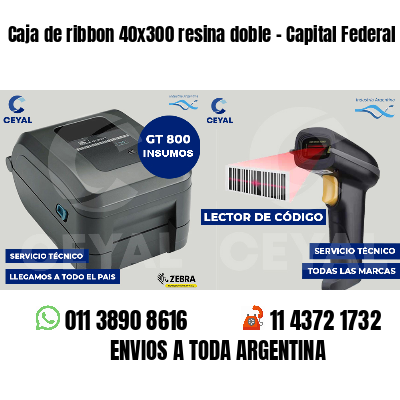 Caja de ribbon 40x300 resina doble - Capital Federal