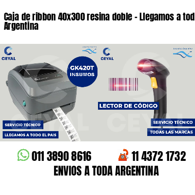 Caja de ribbon 40x300 resina doble - Llegamos a toda Argentina