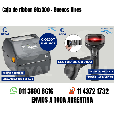 Caja de ribbon 60x300 - Buenos Aires