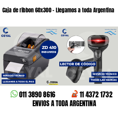 Caja de ribbon 60x300 - Llegamos a toda Argentina
