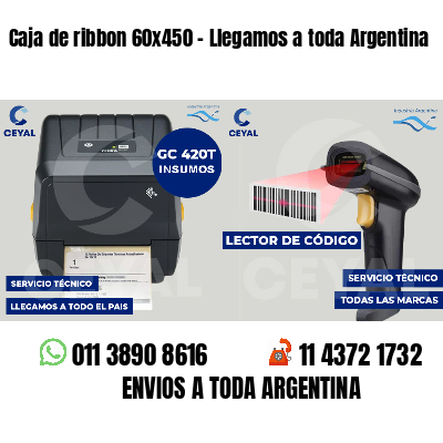 Caja de ribbon 60x450 - Llegamos a toda Argentina