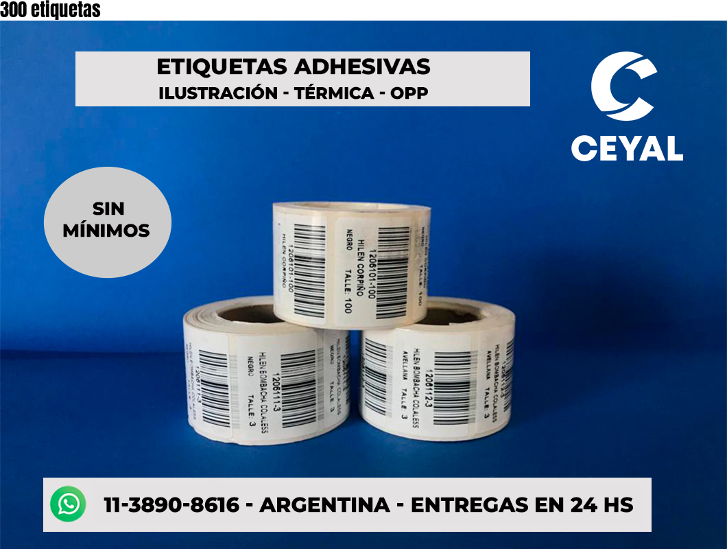 300 etiquetas