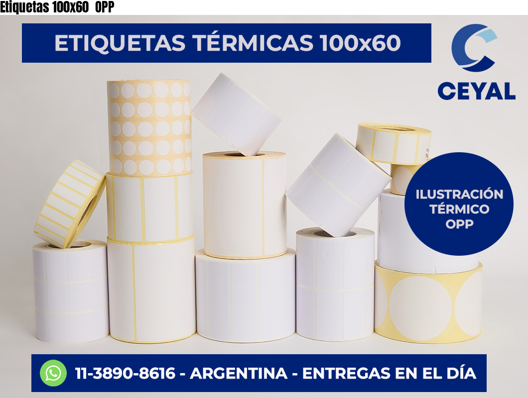 Etiquetas 100×60  OPP