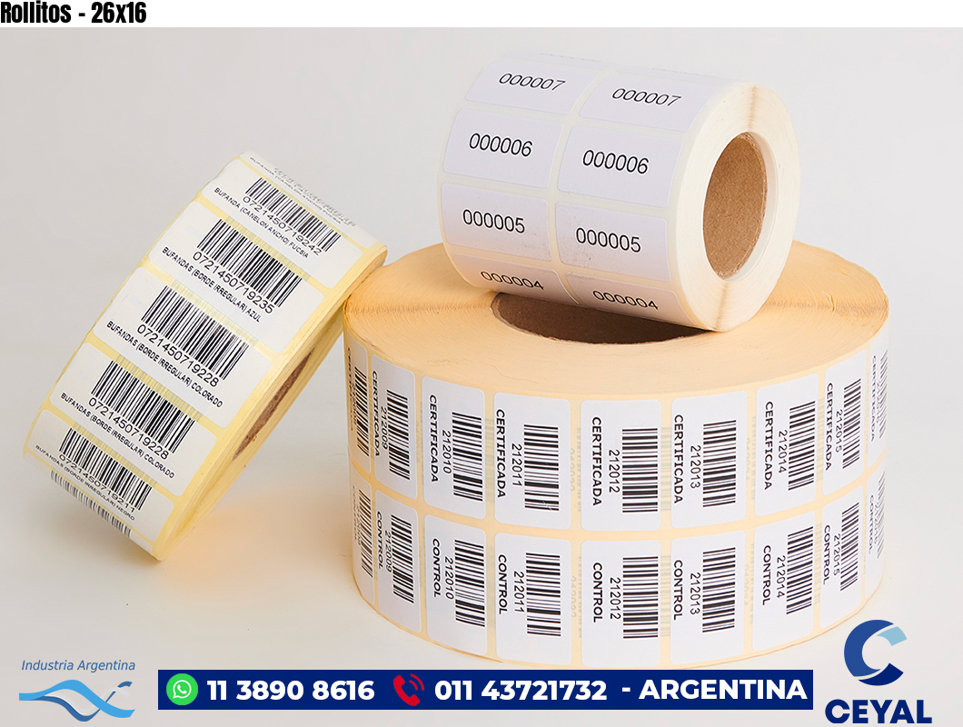 Rollitos - 26x16