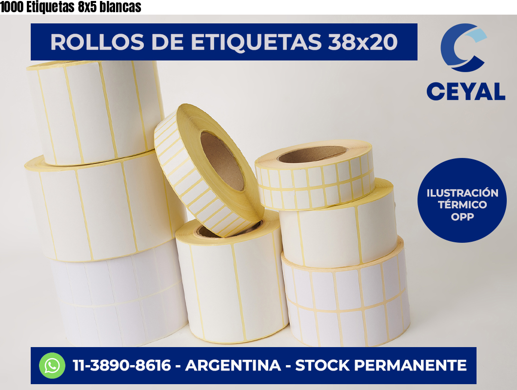 1000 Etiquetas 8×5 blancas