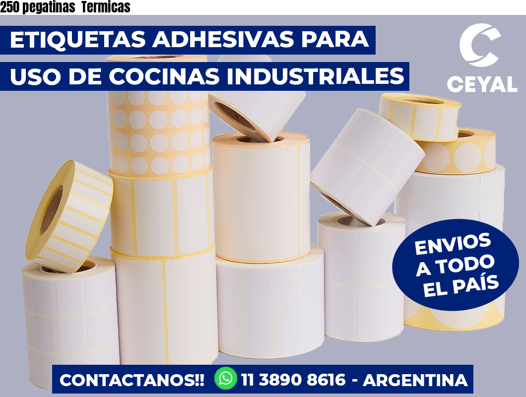 250 pegatinas  Termicas