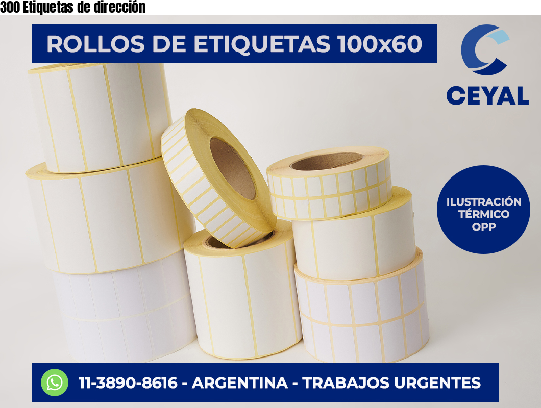300 Etiquetas de dirección