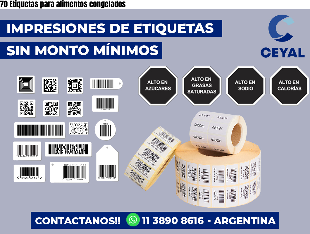 70 Etiquetas para alimentos congelados
