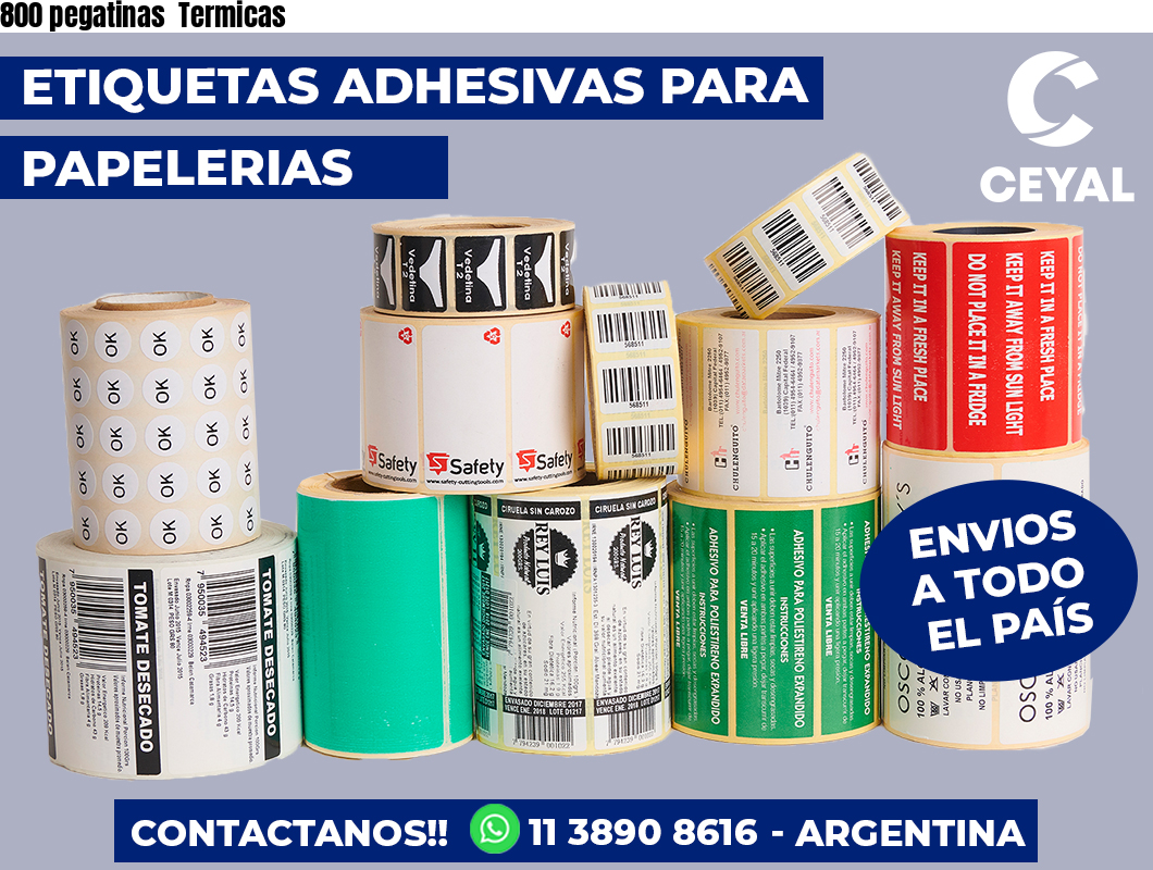 800 pegatinas  Termicas