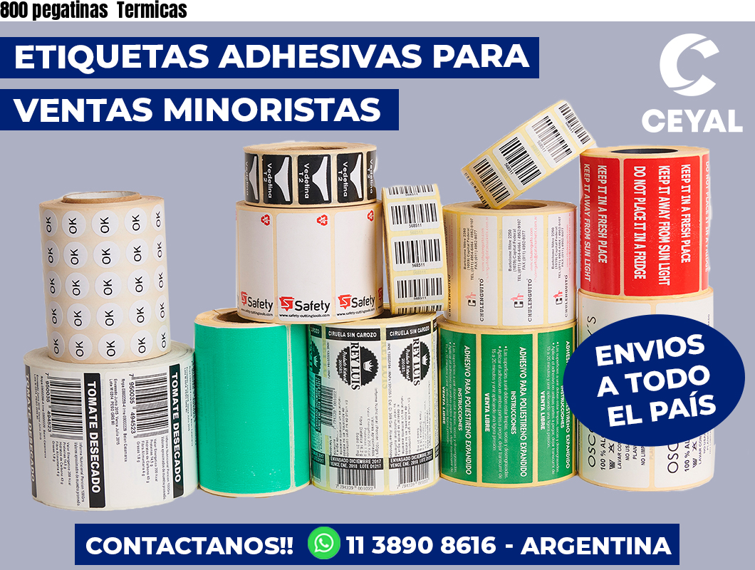 800 pegatinas  Termicas