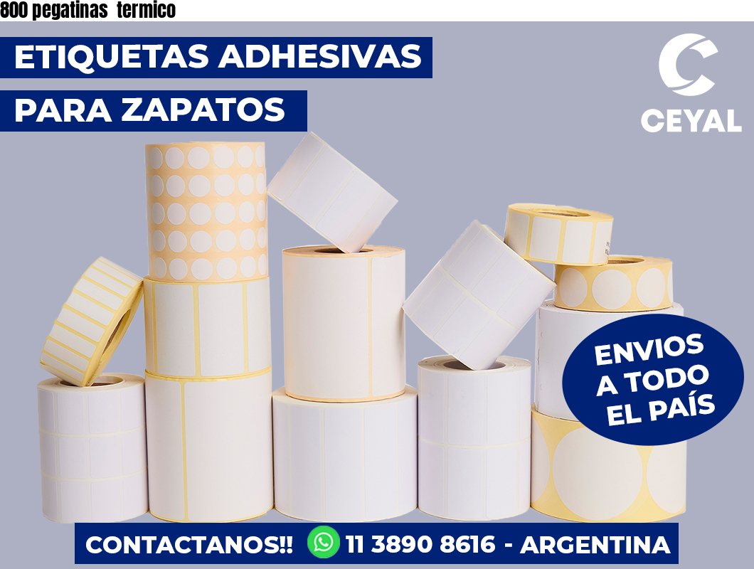 800 pegatinas  termico
