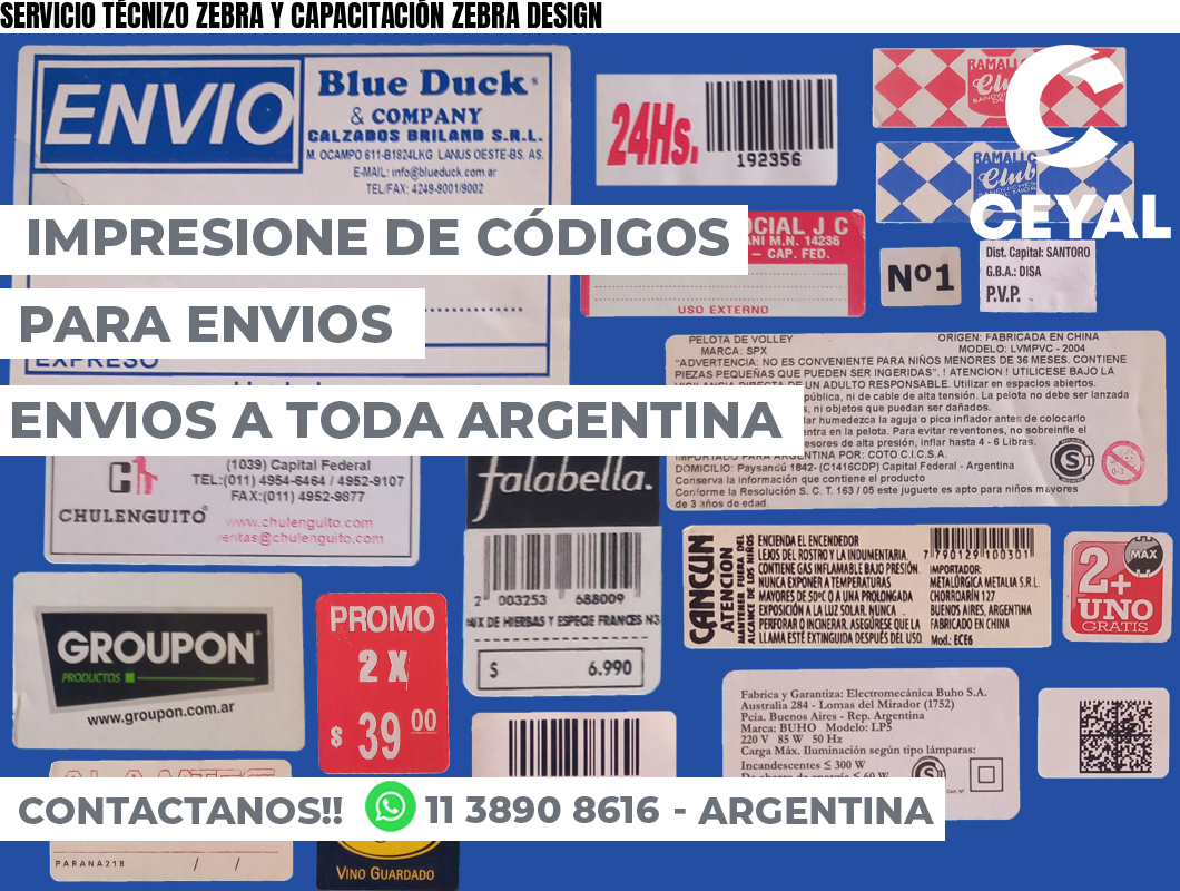 SERVICIO TÉCNIZO ZEBRA Y CAPACITACIÓN ZEBRA DESIGN