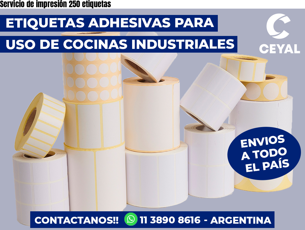 Servicio de impresión 250 etiquetas