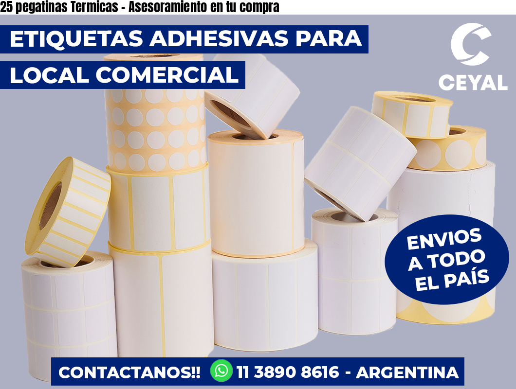 25 pegatinas Termicas - Asesoramiento en tu compra