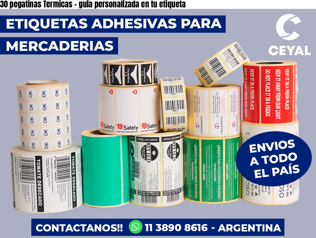 30 pegatinas Termicas - guía personalizada en tu etiqueta