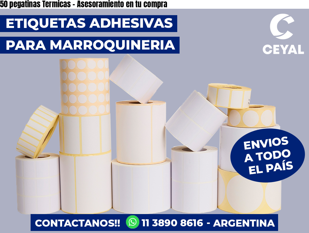 50 pegatinas Termicas - Asesoramiento en tu compra