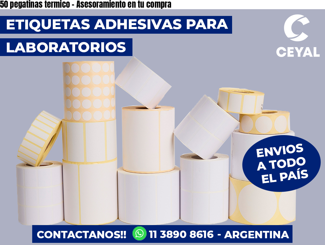 50 pegatinas termico - Asesoramiento en tu compra