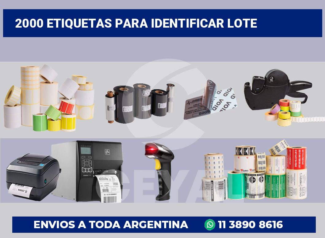 2000 Etiquetas para identificar lote