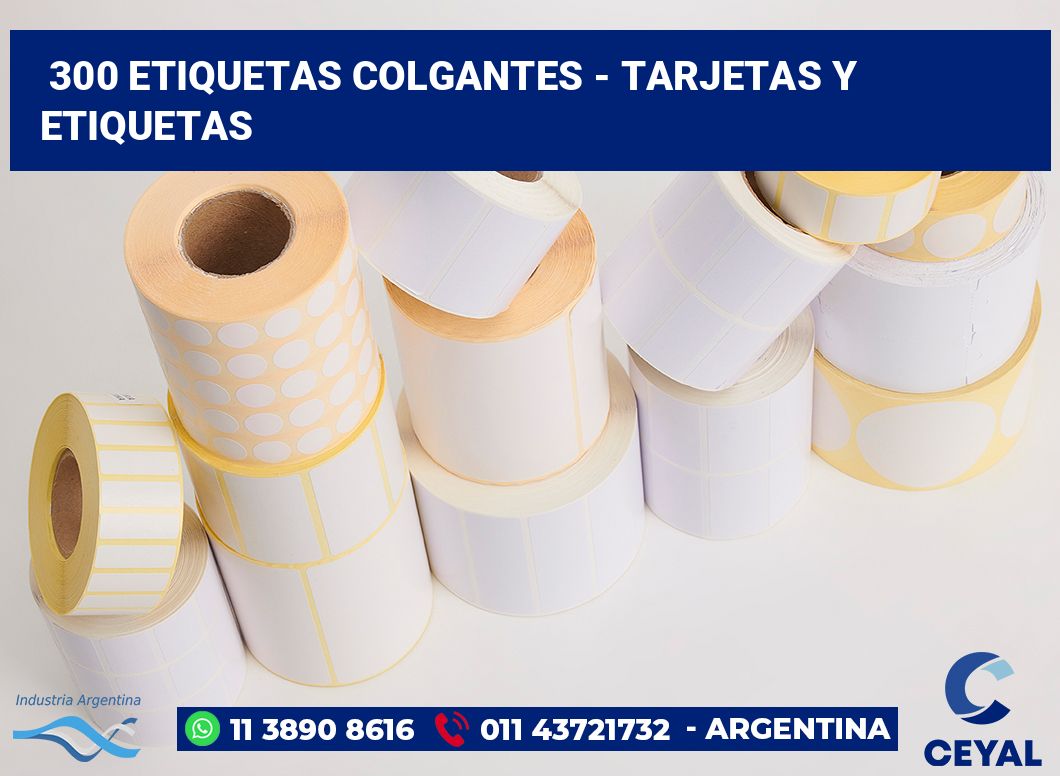 300 Etiquetas colgantes - tarjetas y etiquetas
