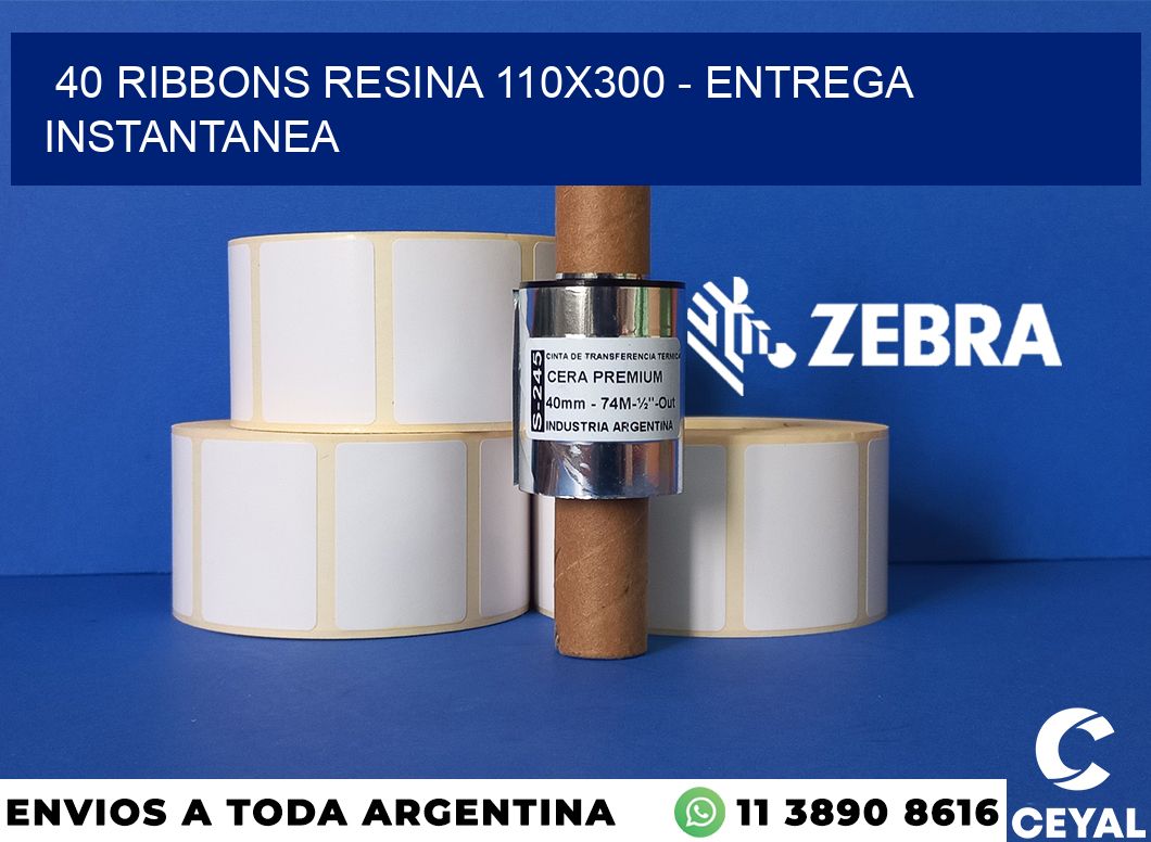 40 Ribbons resina 110x300 - entrega instantanea